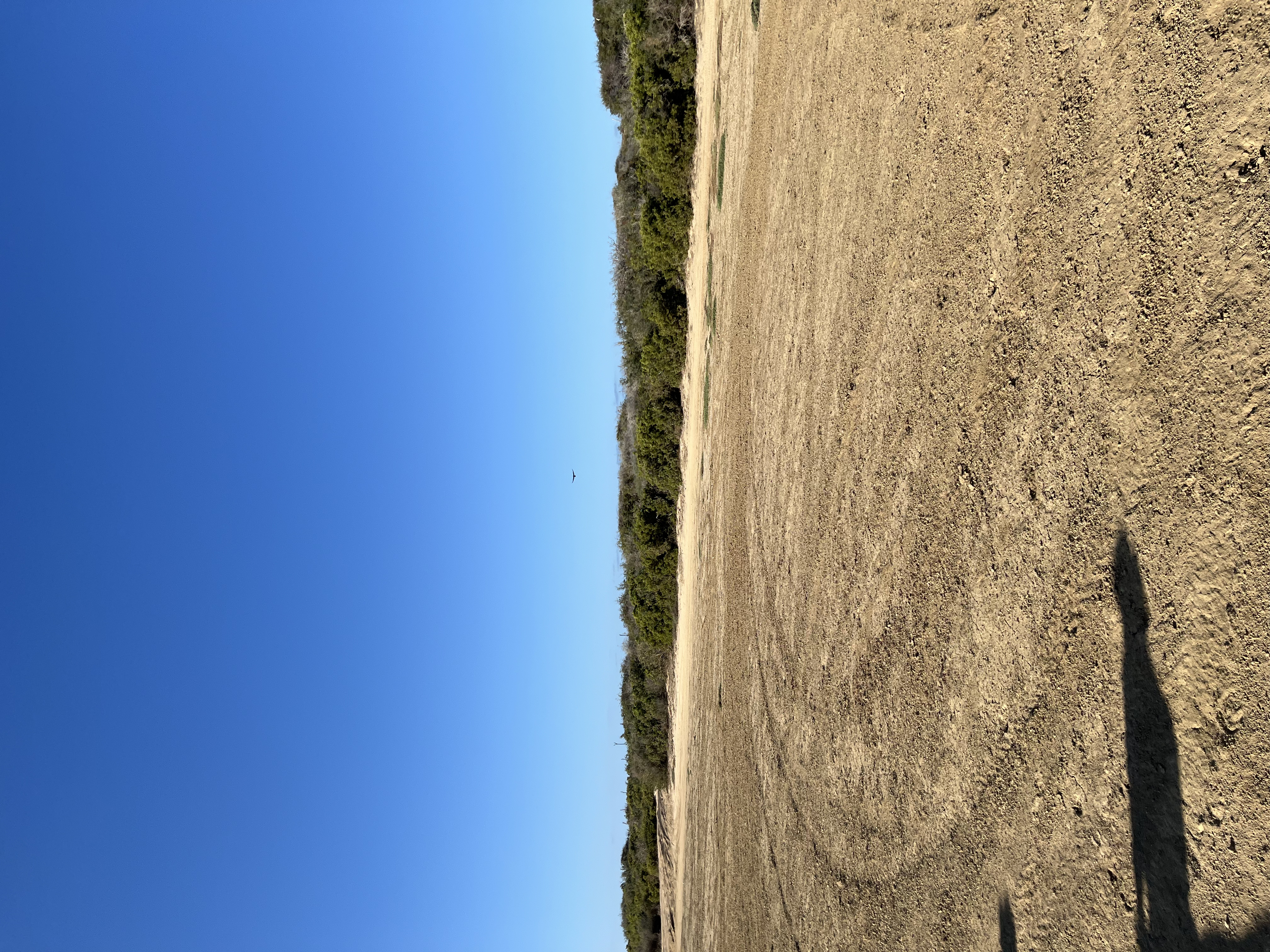 ./2024/13 - Cabo/IMG_4377.jpg